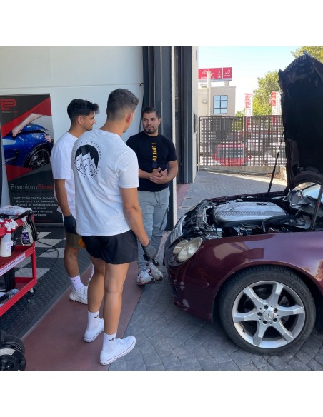 Curso de Detailing para Aficionados practica 2 - Car Care Europe