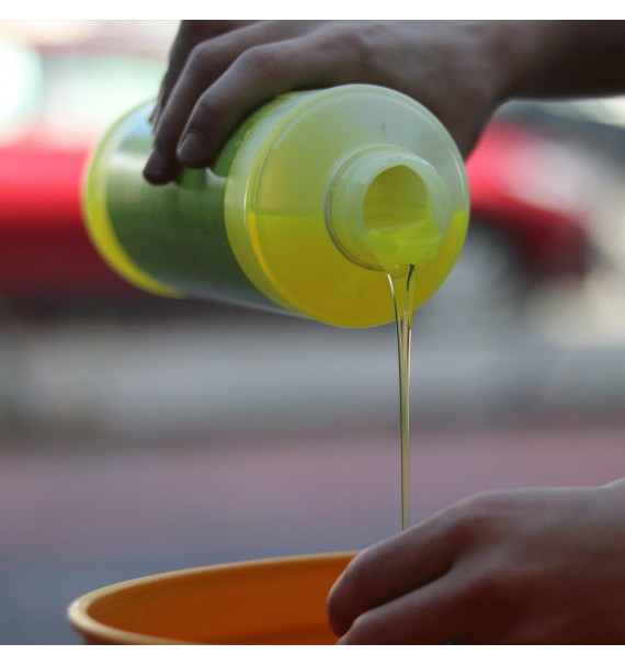 Nextzett Glanz - Champú para Coches - Car Care Europe