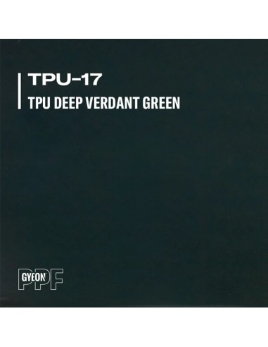 Gyeon Color PPF Lizard Green - PPF...