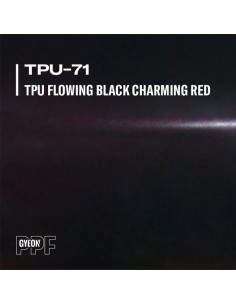 Gyeon Color PPF Flowing...