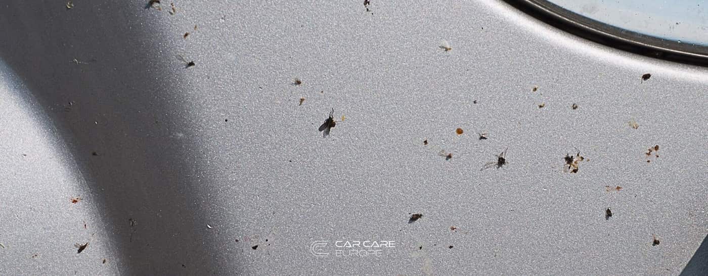 quitar los mosquitos e insectos incrustados del coche