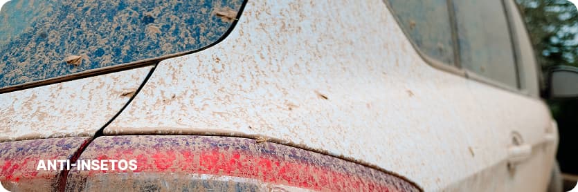 Eliminación de insectos con GYEON Q²M APC